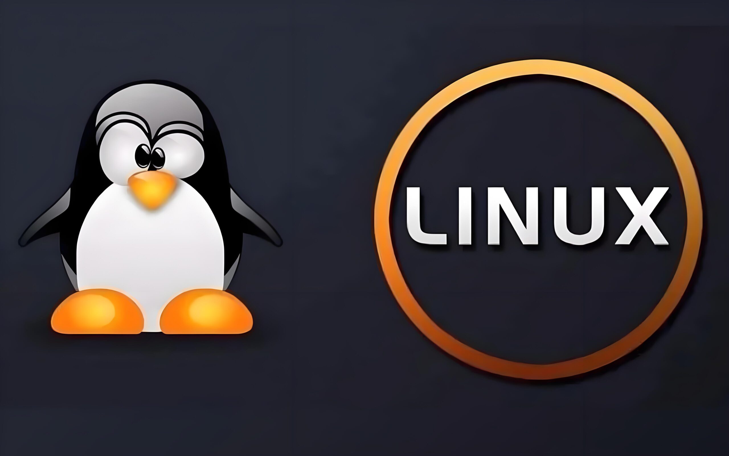 【Centos】cat和tac-追梦人