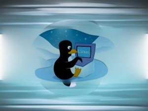 Linux必学的命令-追梦人