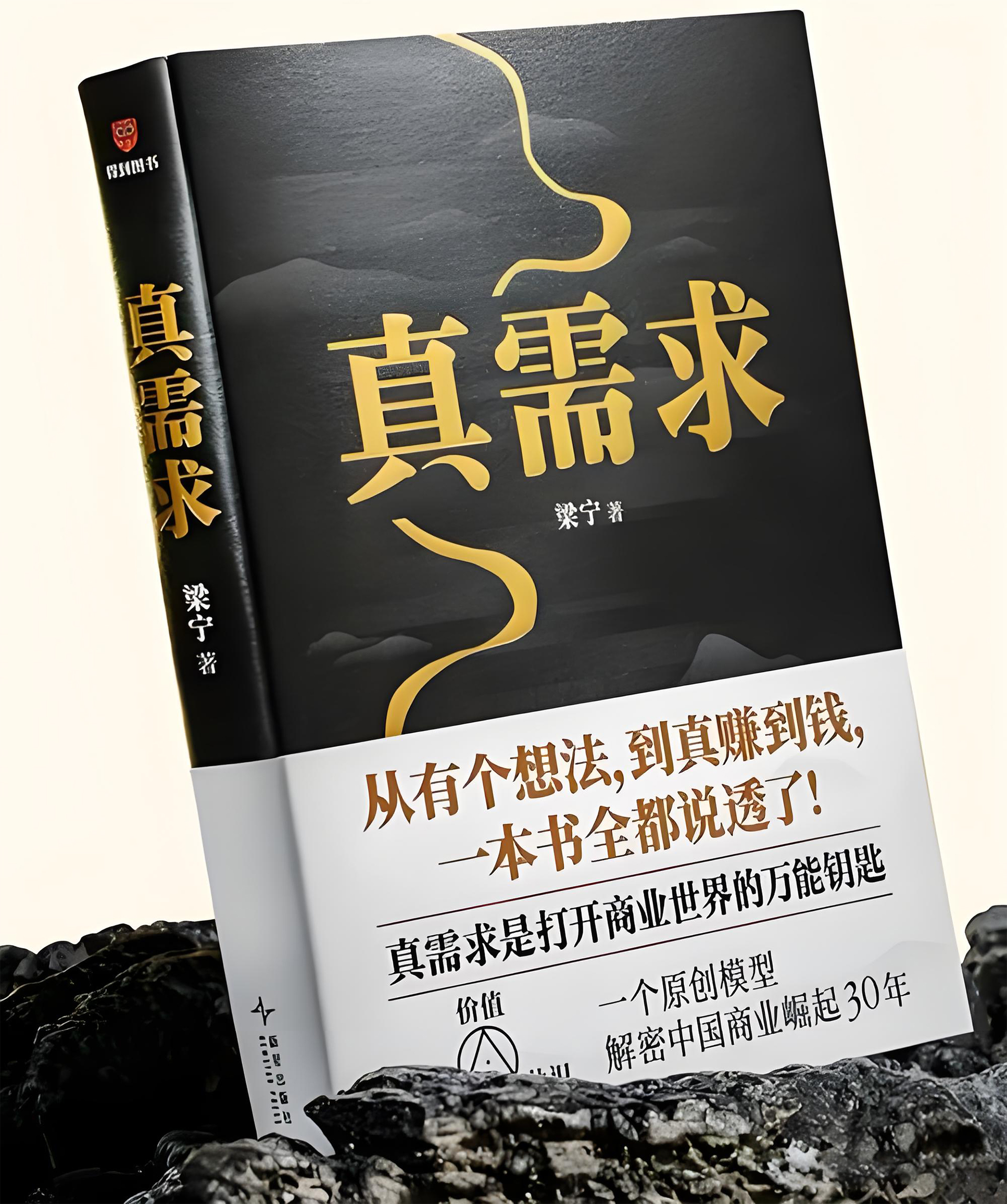 「电子书」真需求-梁宁