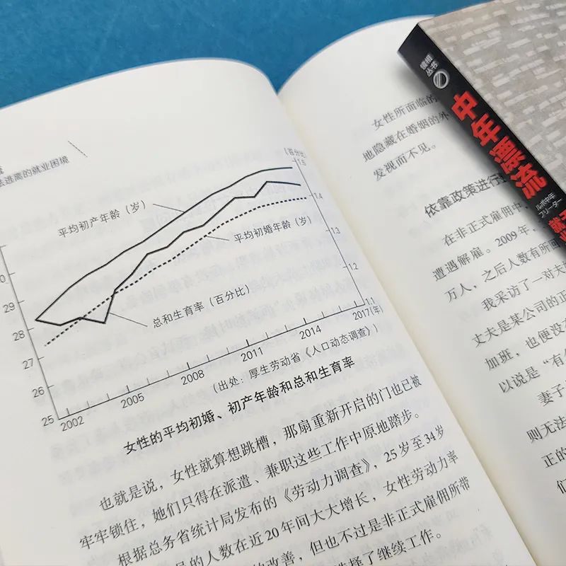 图片[2]-「电子书」中年漂流：无法逃离的就业困境[pdf+全格式]-追梦人